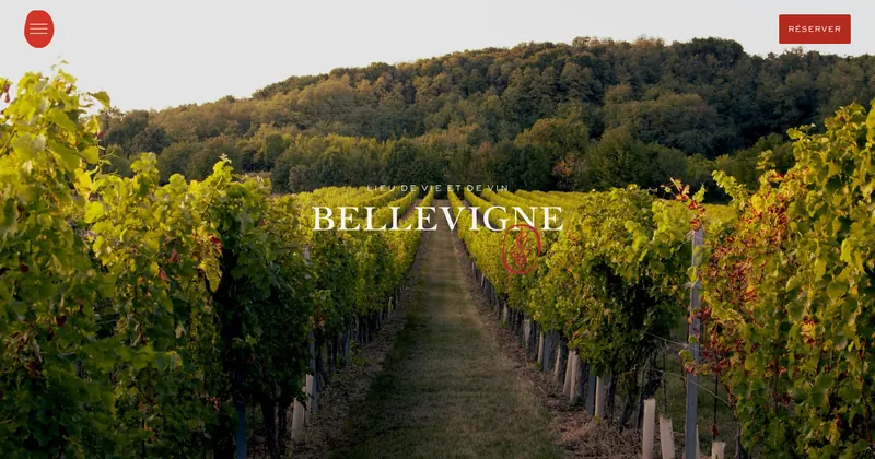 Hôtel Bellevigne website